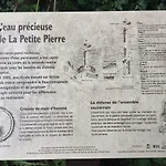 La Dependance De La Des Oiseaux - Pierre La Petite-Pierre