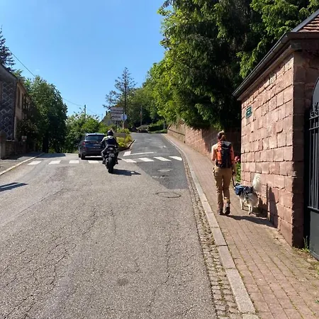 La Dependance De La Des Oiseaux - Pierre Frühstückspension 3*