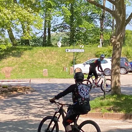 Nocleg ze śniadaniem La Dependance De La Des Oiseaux - Pierre La Petite-Pierre