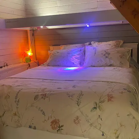 La Dependance De La Des Oiseaux - Pierre 3*