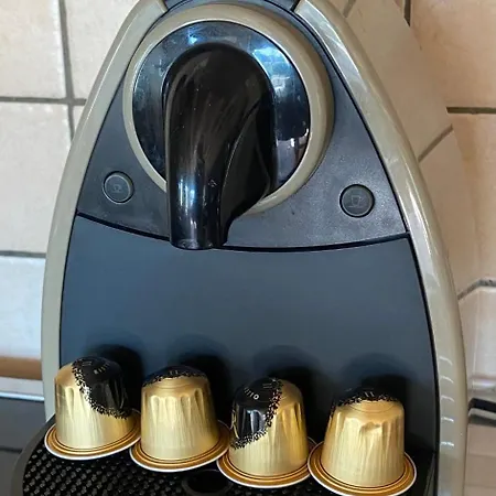 La Dependance De La Des Oiseaux - Pierre La Petite-Pierre