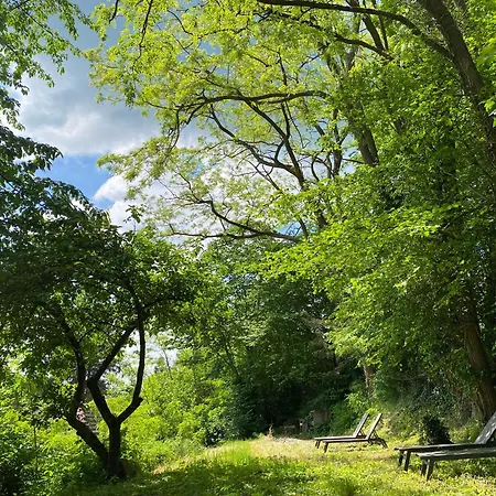 La Dependance De La Des Oiseaux - Pierre Nocleg ze śniadaniem La Petite-Pierre