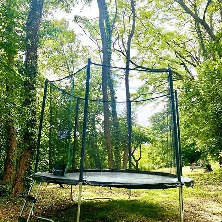 La Dependance De La Des Oiseaux - Pierre 3*