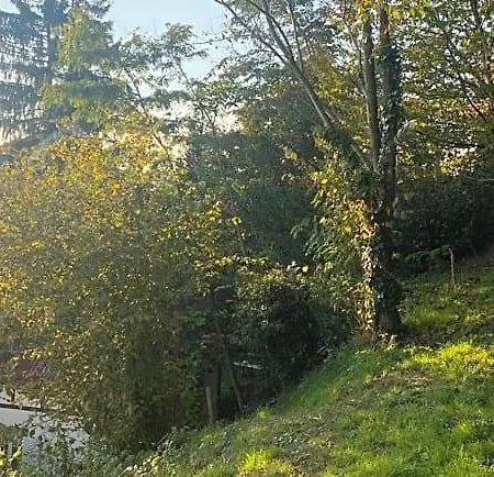 La Dependance De La Des Oiseaux - Pierre La Petite-Pierre