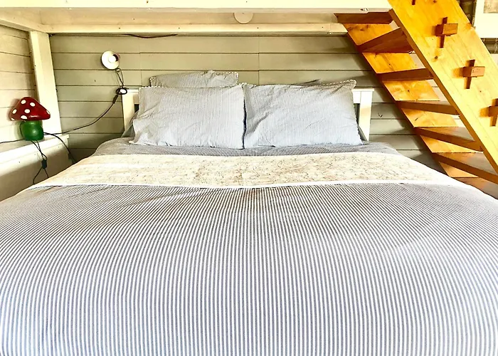 La Dependance De La Des Oiseaux - Pierre 3* لا بيتيت-بيير